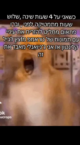 הולי סאונד🥹🥹🥹 感謝觀看，希望你喜歡！如果喜歡的話，請按讚並訂閱。#funny #מצחיק #giftok #ניש #fyp 