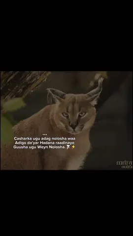 ⌛🖤 #videoviral #Z4ck..15