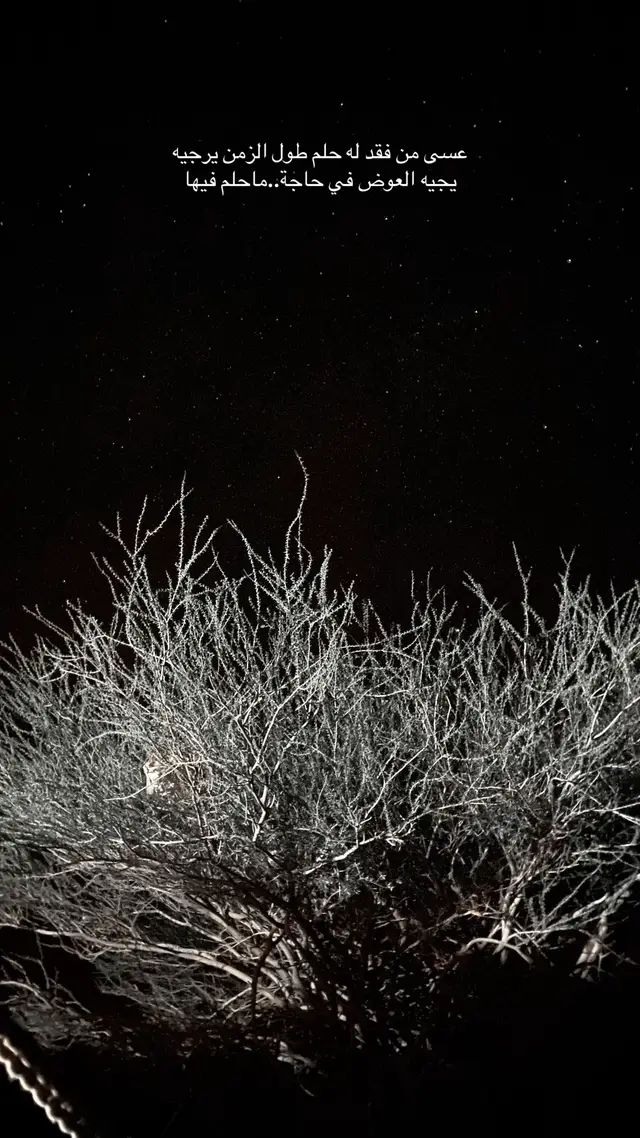 #اكسبلور؟ #قصايد #fyp 