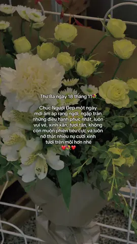 #suyymottchut #viral #fyp 