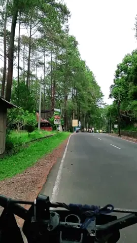 tetap pada pandangan #alam #jalanjalan #laguviral #holder 