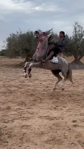 #اللهم_صلي_على_نبينا_محمد #machallah✨♥️ #djerba🇹🇳🇹🇳🇹🇳 #kaiser lazreg ye ghoul