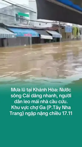 Tính đến chiều 17.11, mưa lũ, sạt lở tại Khánh Hòa đã khiến 7 người tử vong, 1 người mất tích, 19 người bị thương, hàng trăm hộ dân phải sơ tán khẩn cấp khi nước trên 2 sông Cái vượt báo động 3. #vivumuasam #xuhuongtiktok #tiktokviral #popsww #mualumientrung 