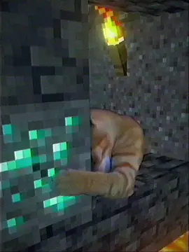 #cat #Minecraft 