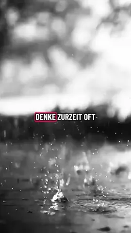 Real. #motivation #zitate #disziplin #ziele #mindsetmotivation 