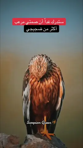 < scorpion Queen 🦂> 🖤👌