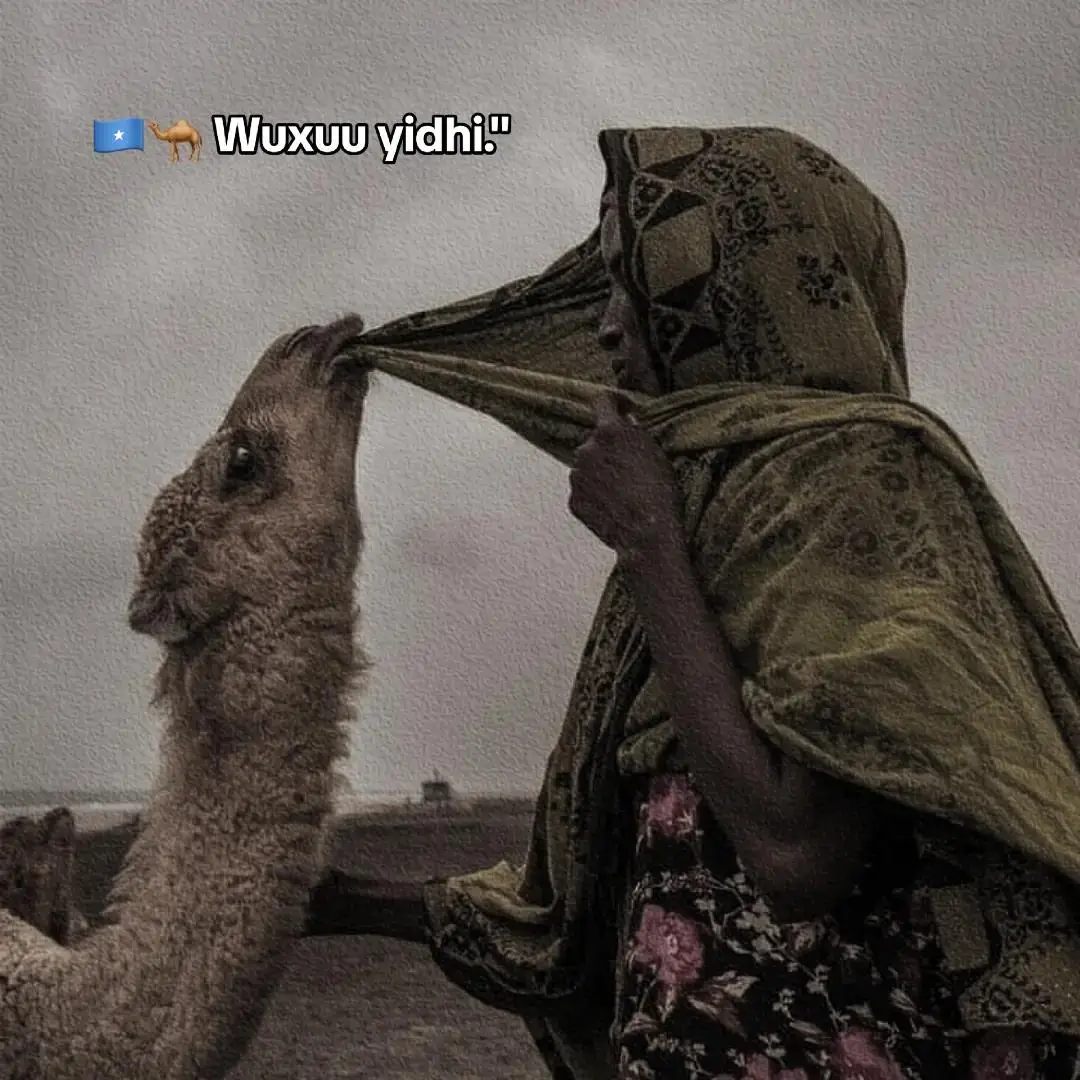 Sidaad ii barbaarisay hooyo  #fouryoupage #somalitiktok #fyp 