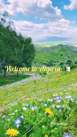 Welcome to Algeria 🇩🇿  #algeria #explorepage #music #top 