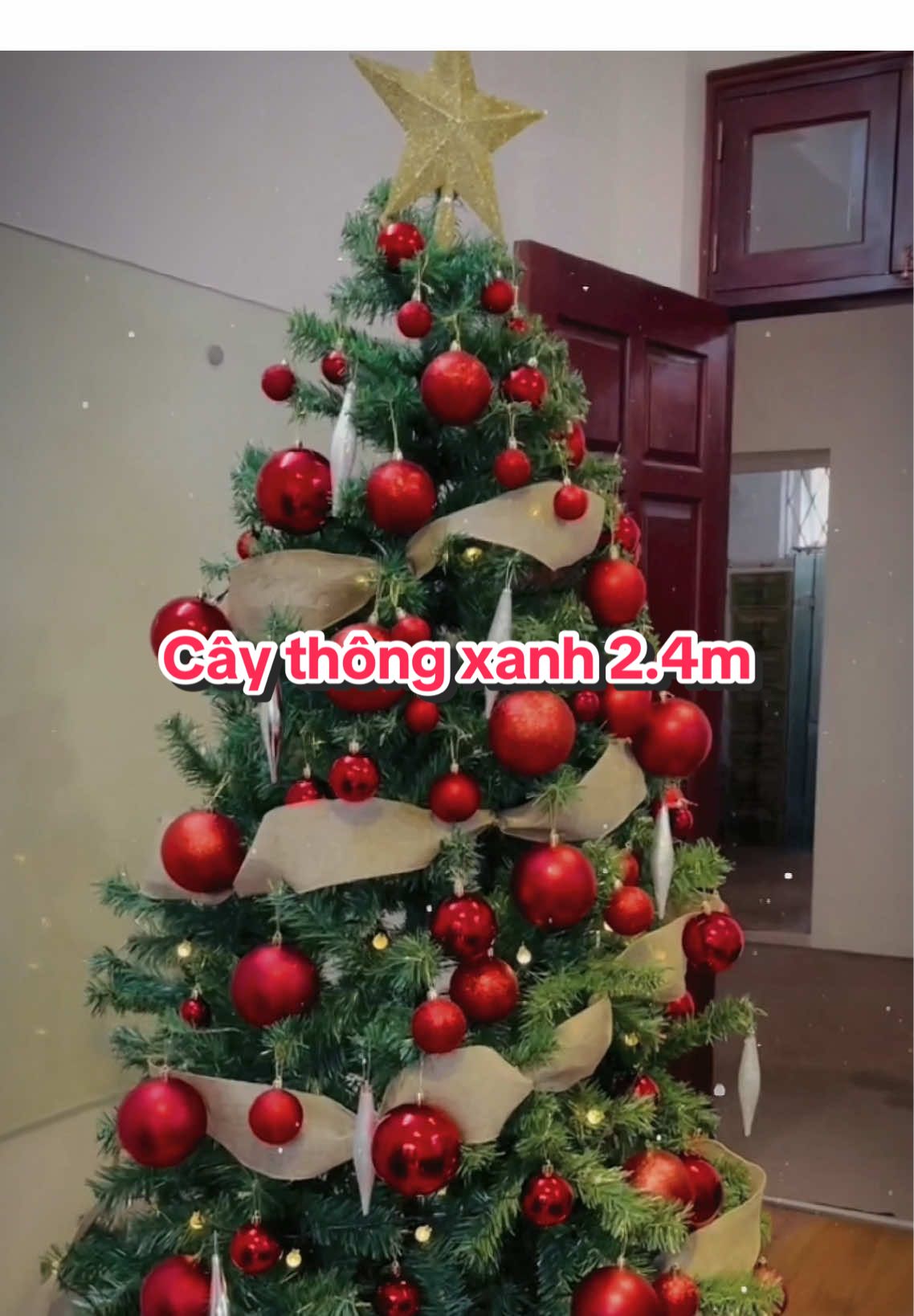 Sắm ngay cây thông xanh 2.4m tại nhà An An #merrychristmas #noel 