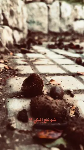 حبوا بعضن …. تركوا بعضن#viral #فيروز_و_فنجان_قهوة #مشاهدات #LIVEwithlowfollowers #viraltiktok 