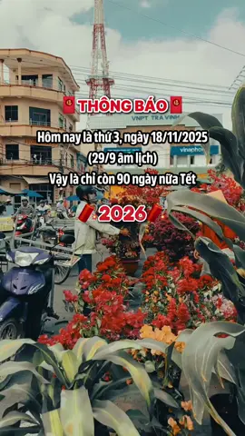 90 ngày #tetnguyendan2026🧧🎆🧨 #tetbinhngo #venhaantet #tet2026 