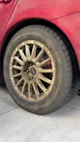 How many cars do you recognize in this video? #carwash #carwashing #carsoftiktok #cardetailing #detailing