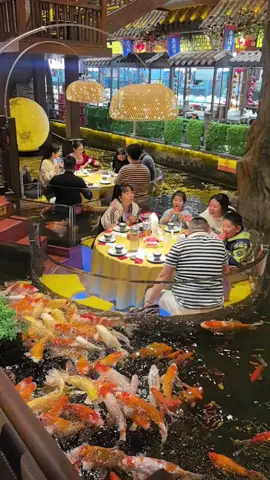 China Restaurant Views 👀💖  #china #chicago #downtown #chicagodowntown #chicagoarchitecture     Chicago, travel Chicago, winter road trip in Chicago, scenic city winter drive, snow drive, Trump International Hotel & Tower Chicago, London House Chicago