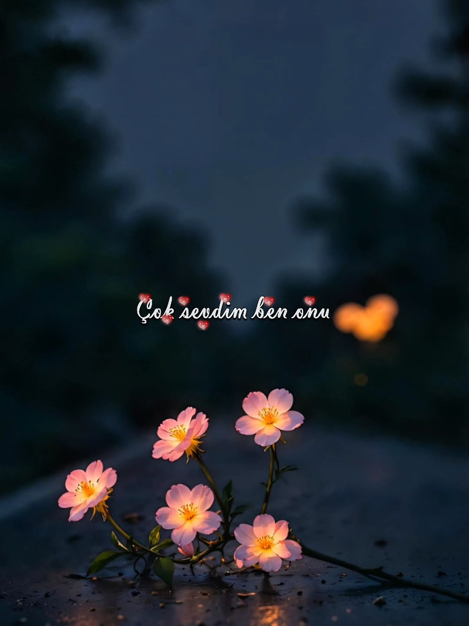 Bir seni düşündüm, bir de kendimi.. ✨ #music #müzik #lyrics #lyricsvideo #bkwpp 