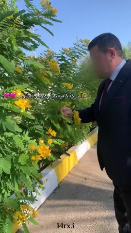 أحبه👈🏻👉🏻🩷🩷🩷🩷🩷.      #fyp #foryou #fyppppppppppppppppppppppp #fypシ #بابا 