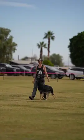 I'm still very happy with how Saturday went. Dyka is such a wonderful dog 🥰