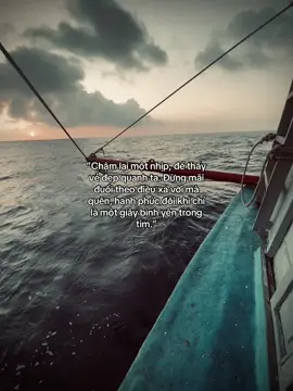 “放慢脚步，去欣赏我们周围的美好。不要总是追逐遥远的事物，忘记了，幸福有时只是心中片刻的宁静。”#tanh08_ #tamtrang #story #sttdoi 