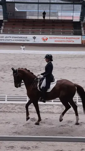 #dressage #horse #выездка 