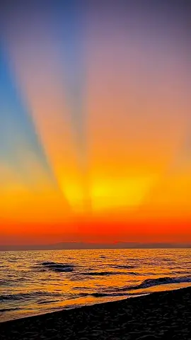 #الشيخ_محمد_الفقية_سورة_النحل 