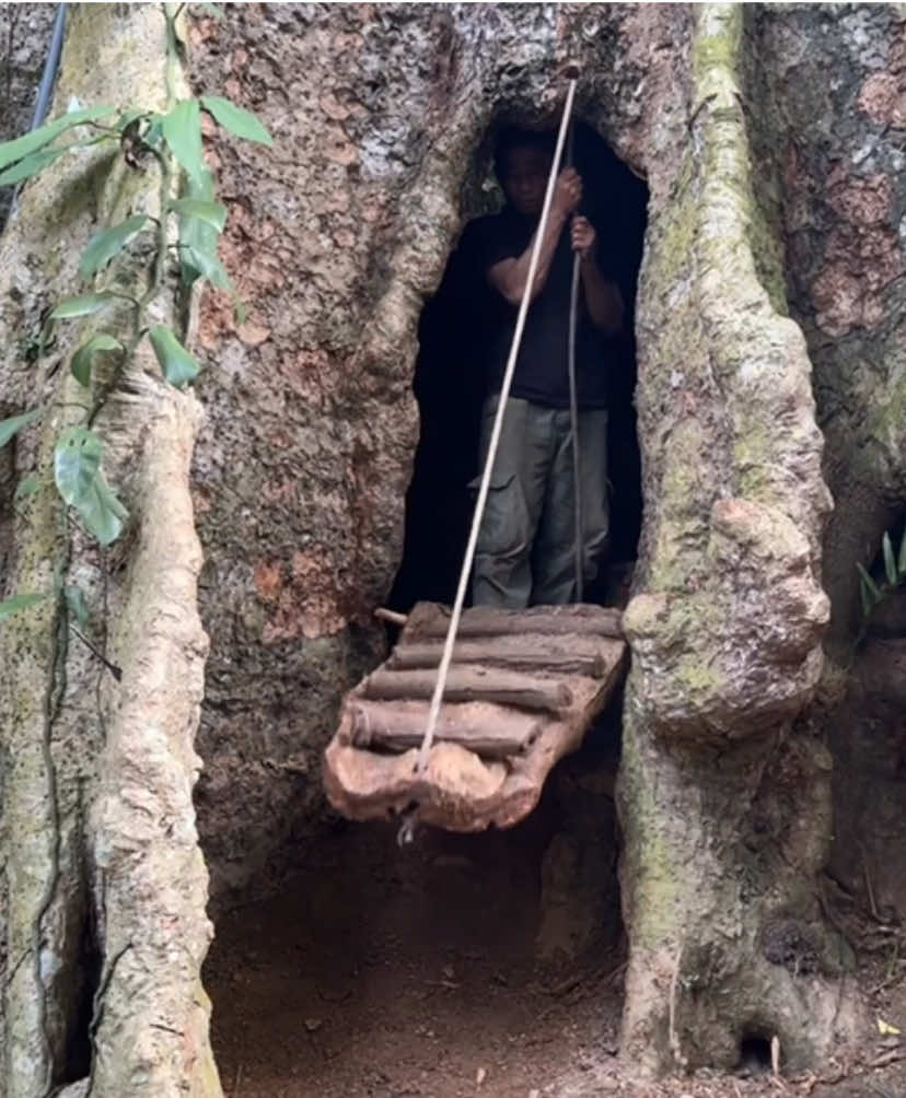 Building a House in an Ancient Tree Wildlife Survival Skills #sam #bushcraft #survival #Outdoors #asmr 