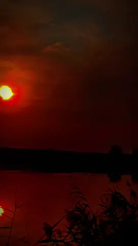 #شعر شعبي حزين 😔