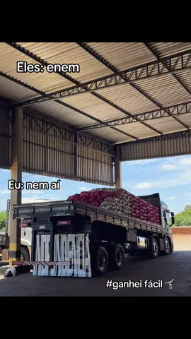 #caminhao #caminhaopaixao #caminhaoqualificado #flogueiros #explore 