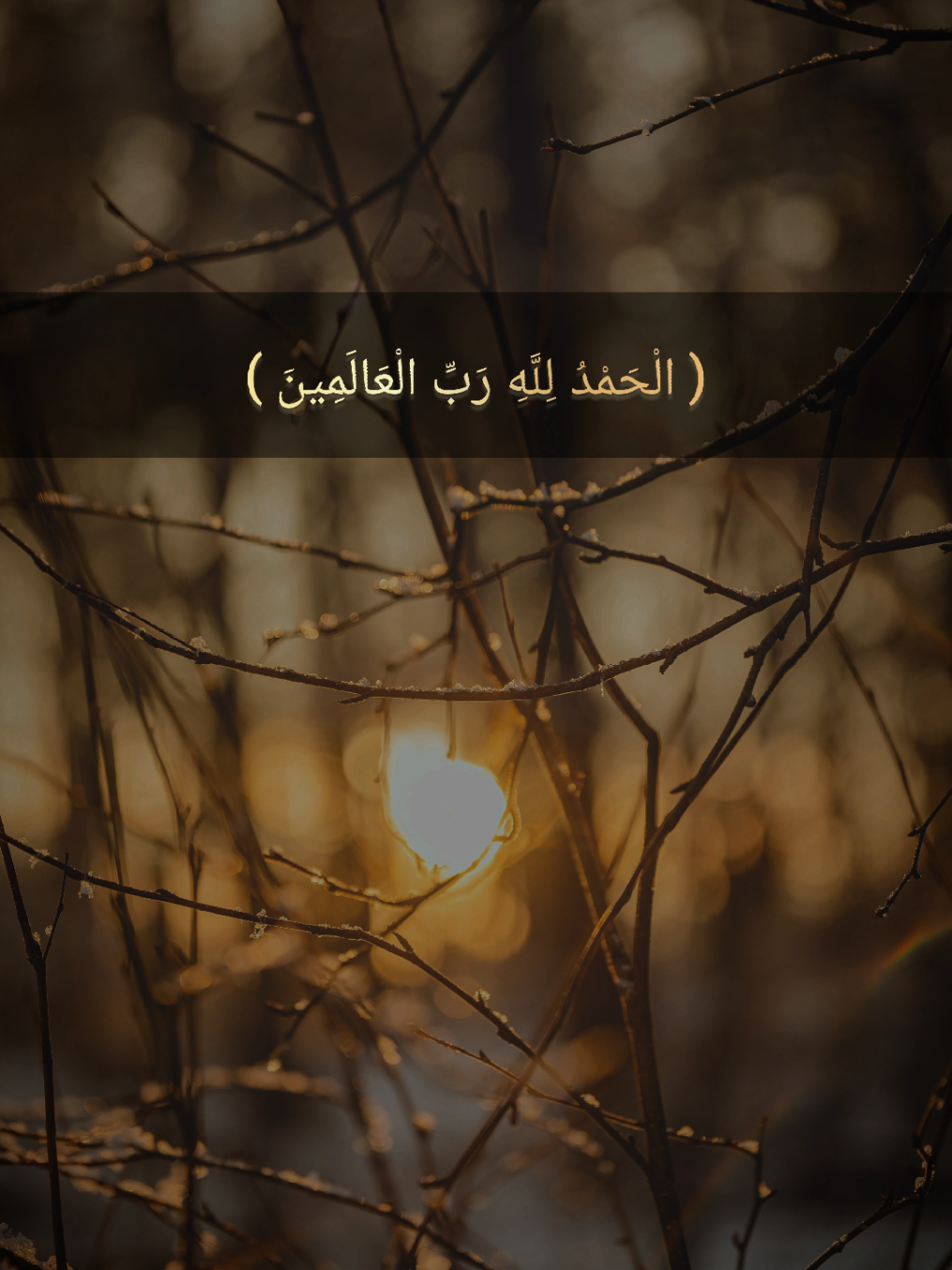 ( الْحَمْدُ لِلَّهِ رَبِّ الْعَالَمِينَ )