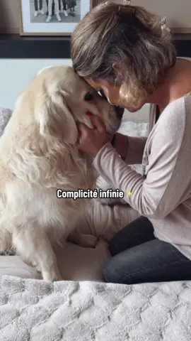 Cœurs connectés 💖 #amourchienhumain #doglovers #momentsmagiques #goldenretriever #golden 