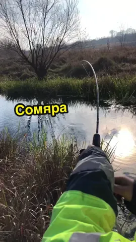 #рибалка #nazik 