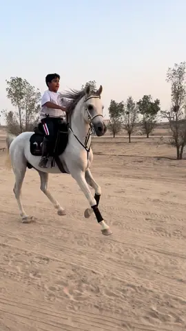 البطل ‏سعود  المطيري ‏ما شاء الله عليك  ##أكاديمية#🧨TNT🧨