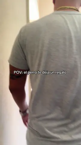 Buena papi #papa #ratatouille #perro #familia 