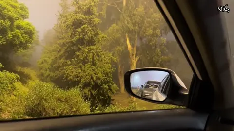 #محسن_ال_مطارد #fypシ゚ #مالي_خلق_احط_هاشتاقات 