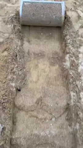 We Found Something Shocking During Our Beach Cleanup - Completely Unexpected! #beachcleanup 