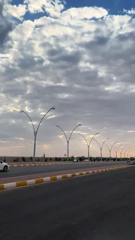 أنـا وكـلبـي يـتـامـة ✨🤎#العراق #الانبار #الرمادي 