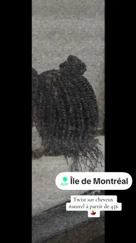Twist sur cheveux naturel à partir de 45$ prenez vite rendez-vous les filles ☺️☺️ #minitwists #microlocks #minibraids #hairstyle #tresseafricaine 