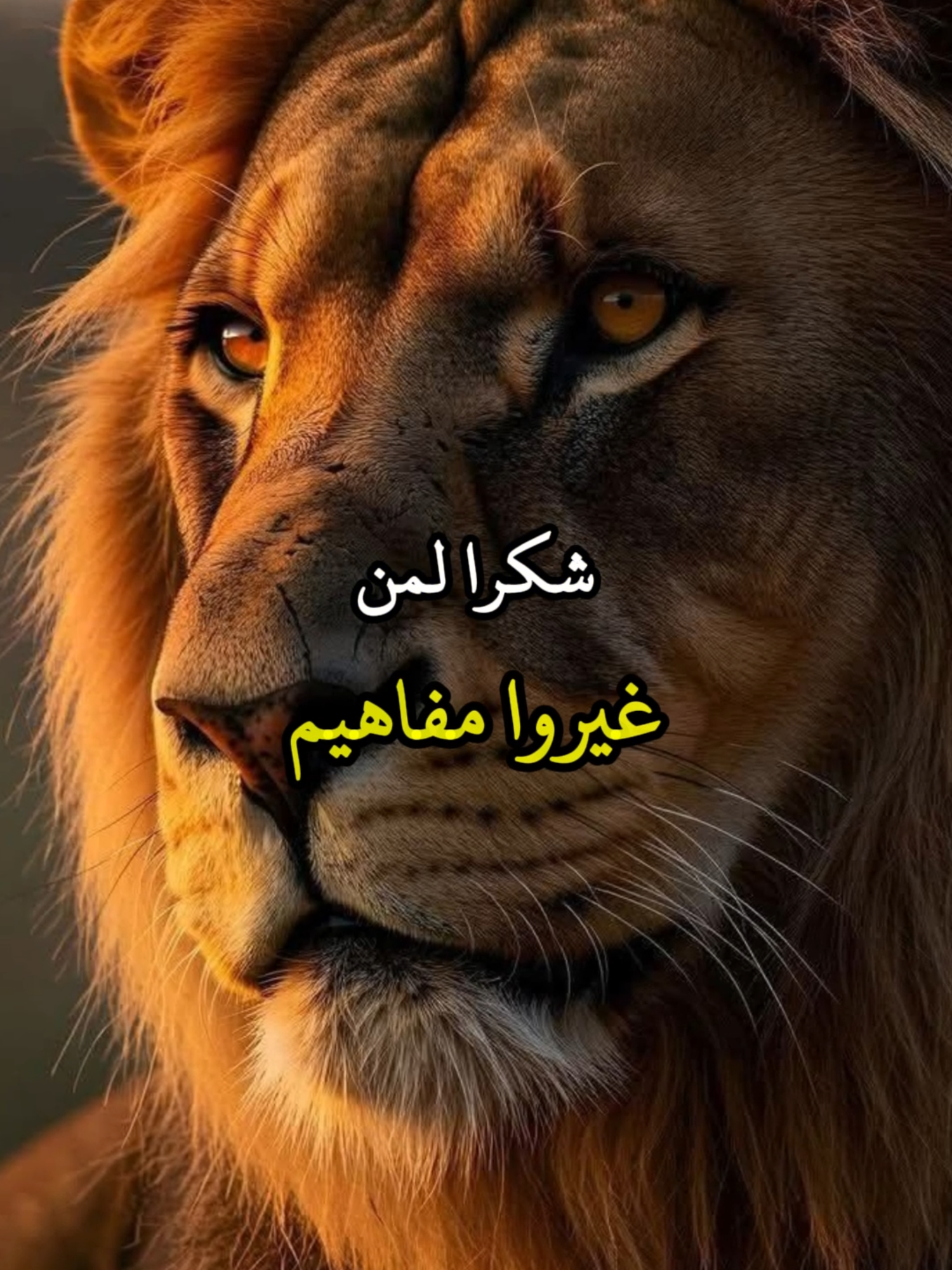 شكرا لمن غيروا مفاهيم حياتنا لمن علمونا ان لكل #حكمة #خواطر #اكسبلور #نجاح #علم_النفس #تطوير_الذات #كلام_من_ذهب #اطمئن #اقتباسات_عبارات_خواطر #تحفيزات_إيجابية #اللهم_صلي_على_نبينا_محمد #fyp #explorer #viral_videos #psychology #motivation