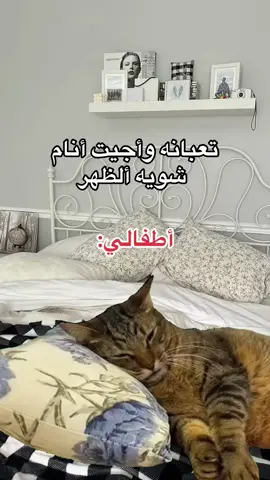 #العراق #اكسبلورفولو_لايك_تعليق_متابعه❤️ #اكسبلوررر #اكسبلور_تيك_توك #اكسبلورexplore❥🕊 