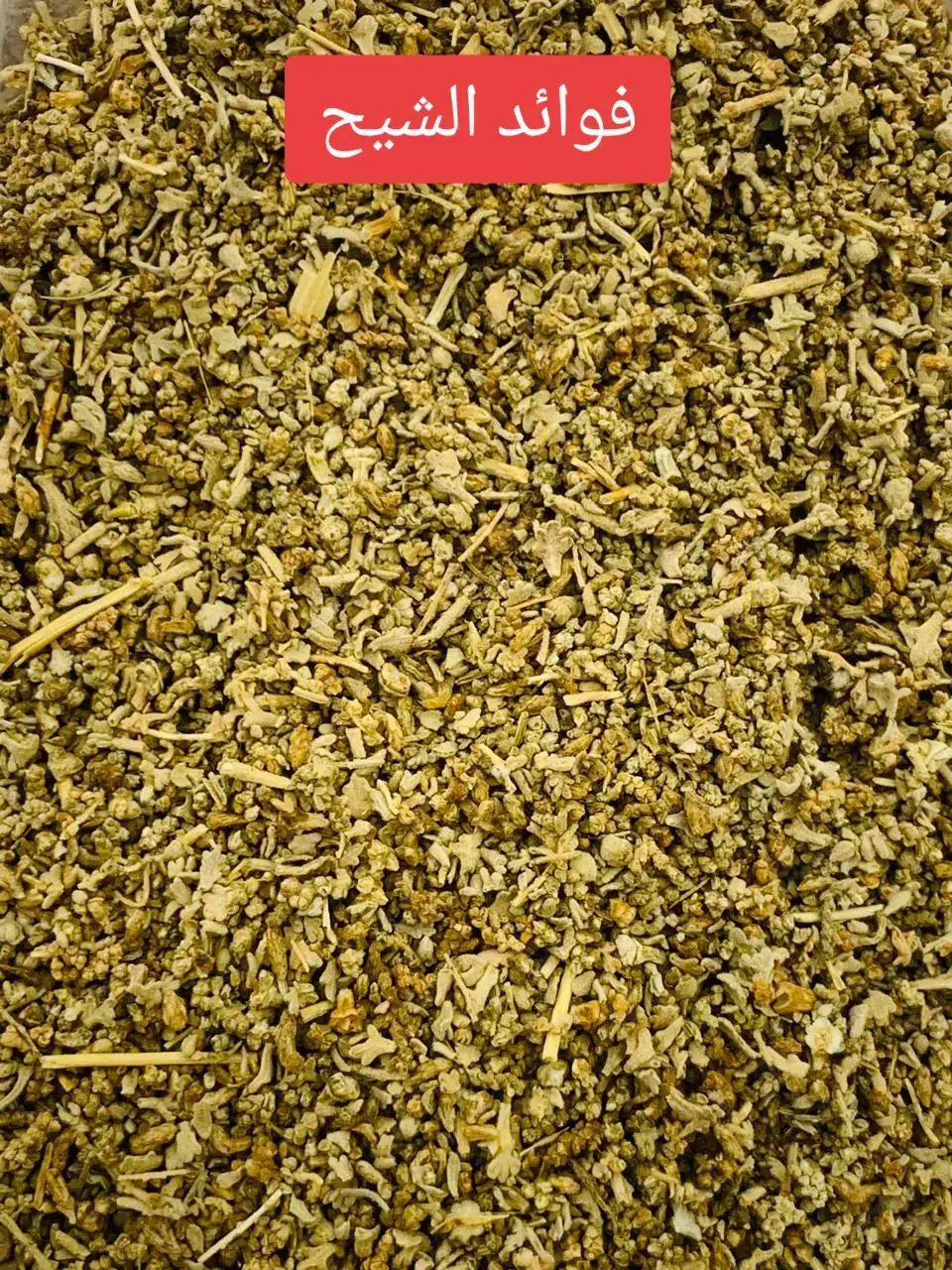 يتميز الشيح بفوائد صحية متعددة تشمل تحسين الهضم، وتخفيف آلام المغص، وتقليل الانتفاخ، كما أنه يساعد في تحسين أعراض بعض أمراض الجهاز الهضمي مثل متلازمة القولون العصبي ومرض كرون. بالإضافة إلى ذلك، يمكن استخدامه لدعم الجهاز المناعي، وتقليل التوتر والقلق، وعلاج بعض المشكلات الجلدية والفطريات.  فوائد الشيح للجهاز الهضمي يعالج اضطرابات الهضم: يساعد في علاج الإمساك والإسهال والغثيان والقيء. يخفف المغص: يستخدم لتخفيف آلام المغص عند الرضع والكبار. يقلل الانتفاخ: يساعد في التخلص من الشعور بالانتفاخ والغازات. يحمي المعدة: يعادل الأحماض الزائدة في المعدة ويقي من الحموضة وقرحة المعدة. يدعم الكبد والمرارة: يساعد في تعزيز إنتاج العصارة الصفراوية.  فوائد الشيح العامة مضاد للميكروبات والفطريات: يمتلك خصائص مضادة للبكتيريا والفطريات، ويساعد في علاج بعض العدوى الفطرية.  يدعم الجهاز المناعي: يساهم في تقوية الجهاز المناعي.  يحسن الصحة النفسية: يساعد في التخفيف من القلق والتوتر والاكتئاب وتقليل الأرق.  ينظم الدورة الشهرية: يساعد في تحفيز الحيض وتنظيم الدورة الشهرية لدى النساء.  يعالج بعض مشكلات البشرة: يستخدم لعلاج حب الشباب، والصدفية، والثعلبة، والتقرحات الجلدية.  يخفف الآلام: له دور في تسكين الآلام، بما في ذلك آلام هشاشة العظام.  يعالج الملاريا: استخدم في الطب البديل كعلاج للملاريا والأمراض التي تنقلها البعوض.  تحذيرات هامة استشر طبيبك: يجب استشارة الطبيب قبل استخدام الشيح، خاصة عند الحمل أو الرضاعة أو الإصابة بالصرع أو أي حالة طبية أخرى.  تجنب الإفراط: يجب استخدام الشيح باعتدال، لأن الجرعات المفرطة من مكوناته قد تكون سامة.  محدودية الاستخدام: لا ينصح بالاستخدام لفترات طويلة دون استشارة طبية، وقد يوصى بالاستخدام لمدة لا تتجاوز أربعة أسابيع متتالية.  #الخميس  #المدينه  #الدرب 