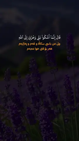 #سورة_يوسف #انس_جلهوم #quran 