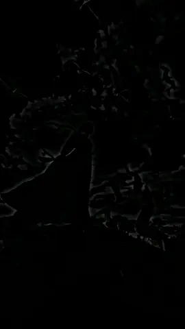 20:30#qalbijab😥💔😥 #somalileyric🎧🌴❤️ #jawi_bila🌊❤️🌴 