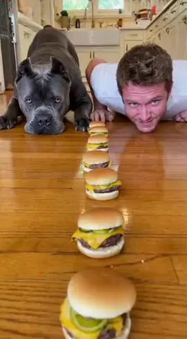 This dog evaporates the food 💀🍔 Bro is just crawling behind collecting scraps 😂 #d#dogf#funnydogp#petvideof#blinkopets 