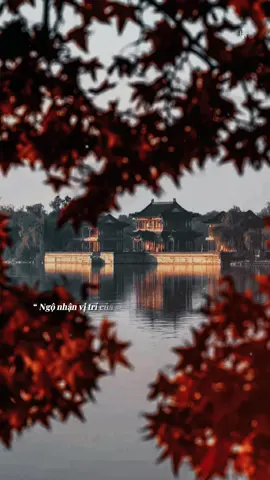 “Ngộ nhận vị trí của em trong tim người.. Ngộ nhận tình cảm của anh ngày qua thôi…!#matong_02🍯#bkmuzic#teddyentertainment#laemngonhan 