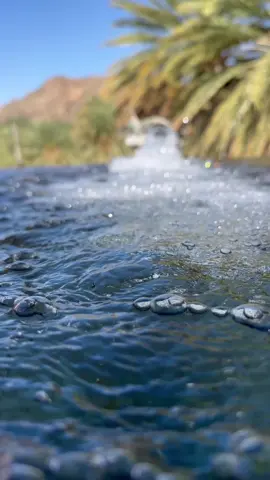 رايكم يهمني #الديره🤩🤎 #الجوف #خب #الشعف #متابعه_ولايك_واكسبلور_فضلا_ليس_امر #متابعه #اكسبلورexplore #تصويري📸 #باقي #التغطيه#بسنابي# #موجود#بالبايو 