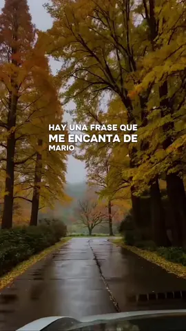 #mariobenedetti #paratiiiiiiiiiiiiiiiiiiiiiiiiiiiiiii #viral #poesia #amor 