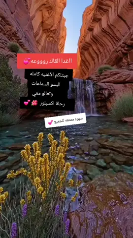 انت يا جنة روحي  #CapCut #اكسبلور #tik_tok #flowers 