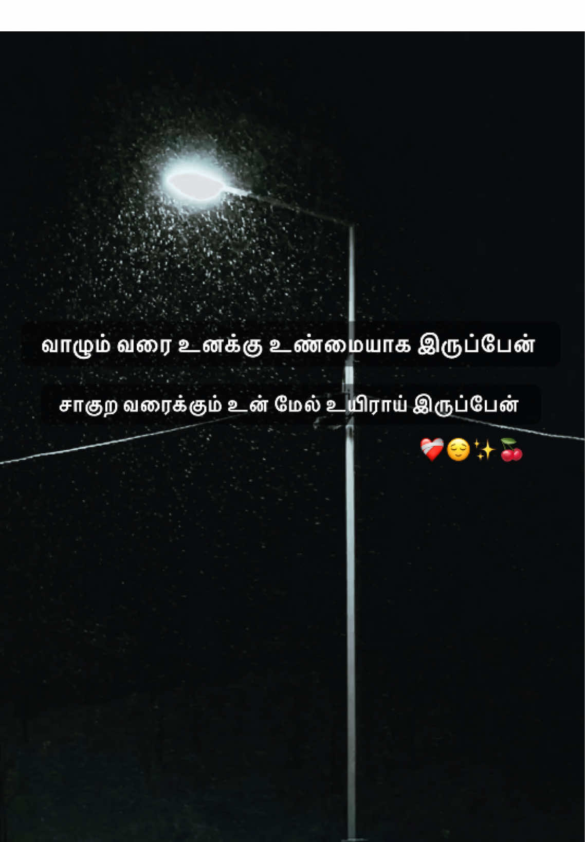 வாழும் வரை உனக்கு உண்மையாக இருப்பேன் #trending #foryou #tamilsong #poetrystatus #tamilquotes 