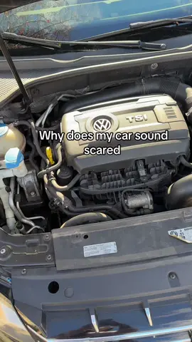 Shiver me timberrrrrr #volkswagen #passatb7 #EPClight #dasauto