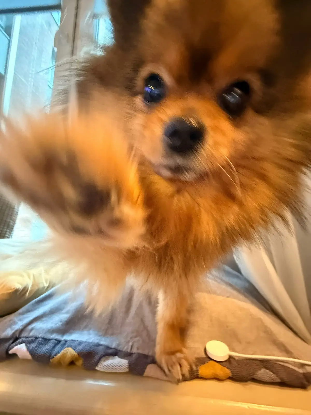 жмет кнопку клянусь