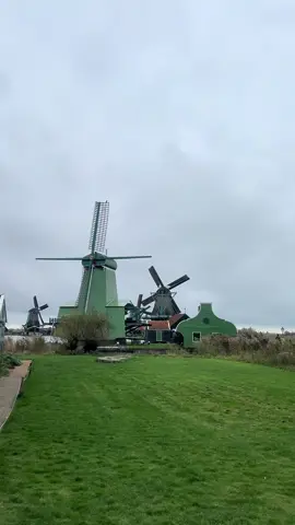 Qui connaît les moulins d’Amsterdam ?🥰 🇳🇱  #amsterdam #couple #fyp 