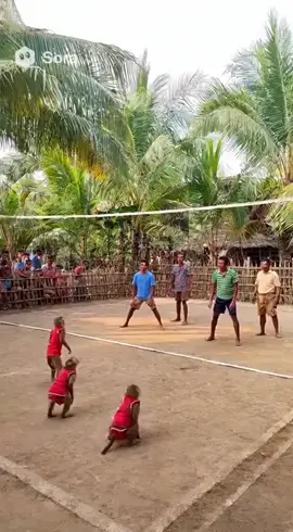 monkey playing #foryoupage #animals #1millonaudition #viral #tiktok 